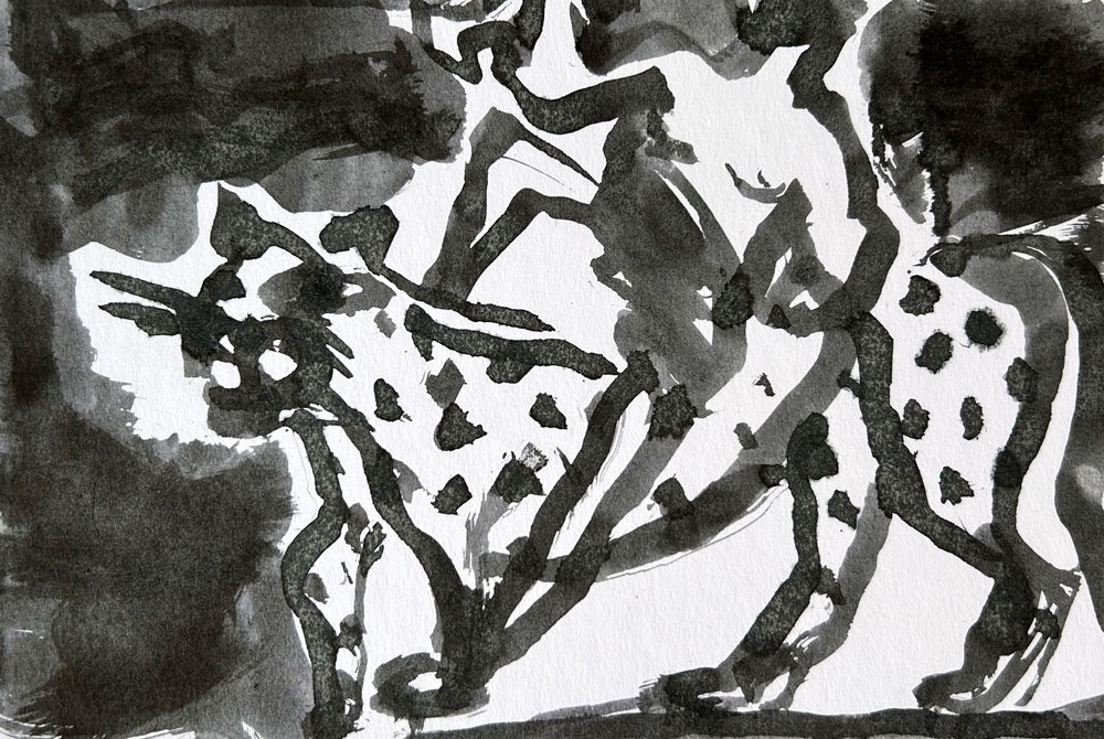 Original Baby Kontrastbild Hund in Schwarz-Weiß für Babys babykontrastbild in schwarz weiß